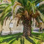 Sunrise Ξενοδοχείο με διαμερίσματα 3*